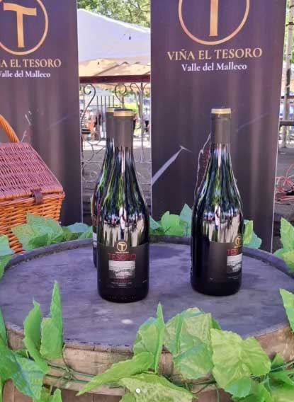 Viña El Tesoro