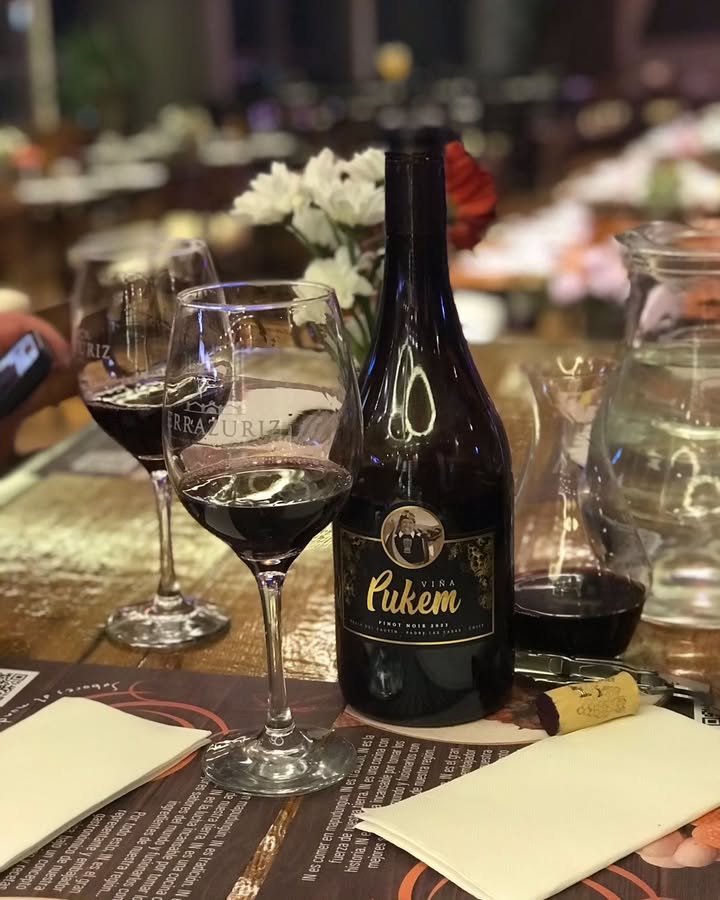 VIÑAS PUKEM JUAN LLANQUINAO TRABOL